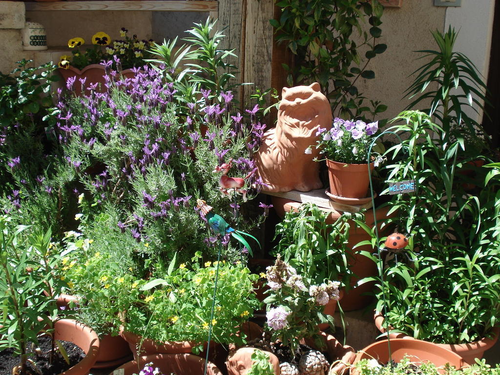Bed and Breakfast Abruzzo Segreto Navelli Exterior foto